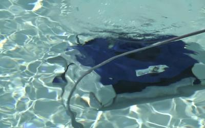 Pulizia Piscina Pulitore Automatico Robot 1